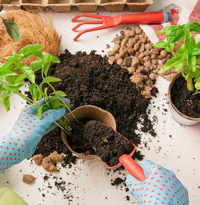 #Garden -10 tips κηπουρικής για αρχάριους