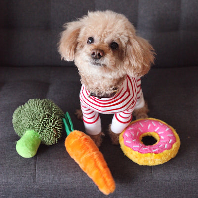 #Pet - 10 τροφές για ανθρώπους που κάνουν καλό και στον σκύλο σου!
